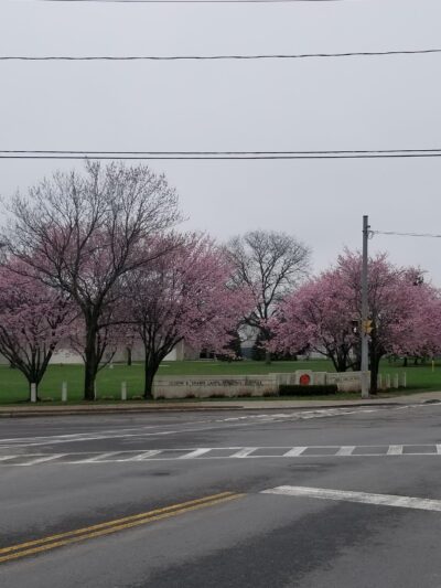 Comfort Tyler Park - Syracuse, NY