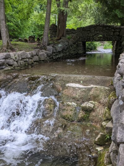 Elmwood Park - Syracuse, NY