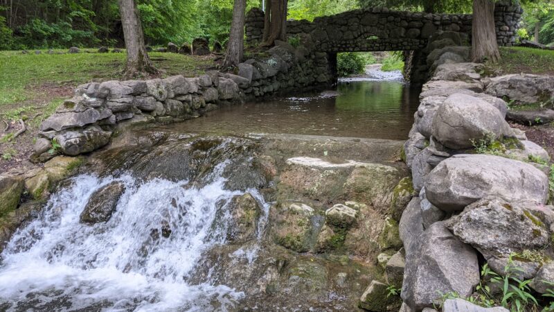 Elmwood Park - Syracuse, NY