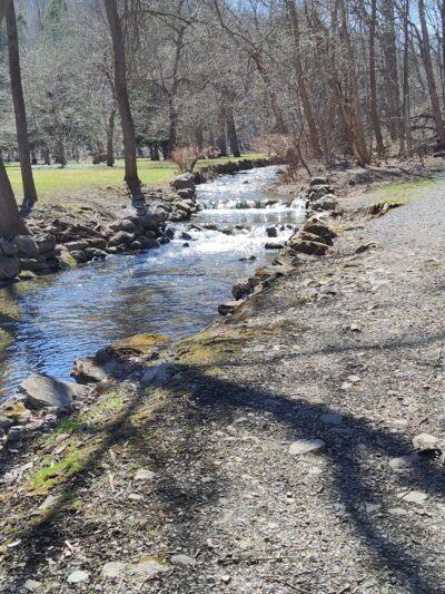 Elmwood Park - Syracuse, NY