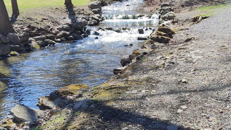 Elmwood Park - Syracuse, NY