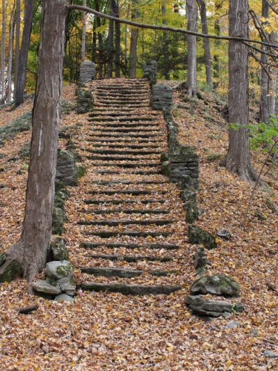 Elmwood Park - Syracuse, NY