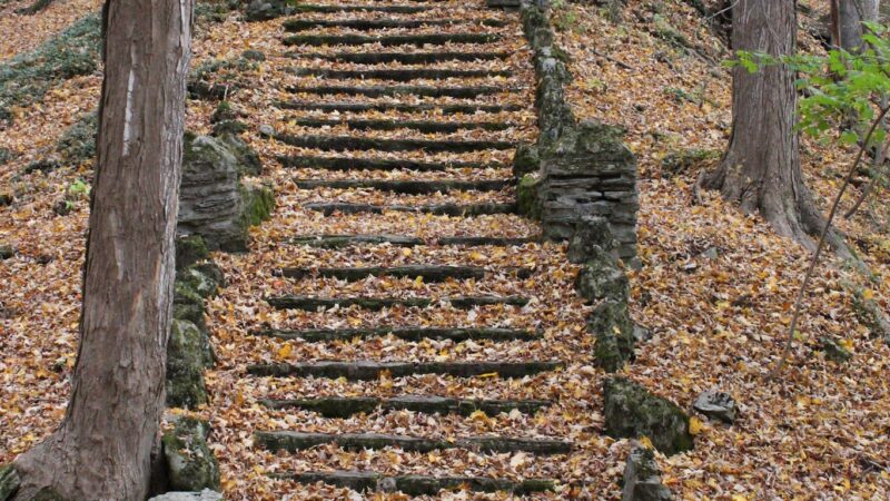 Elmwood Park - Syracuse, NY