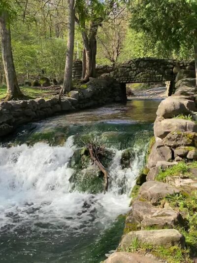 Elmwood Park - Syracuse, NY