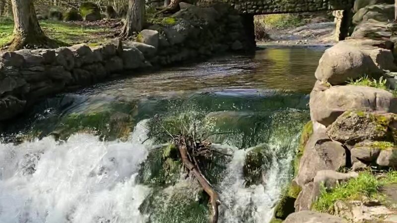 Elmwood Park - Syracuse, NY