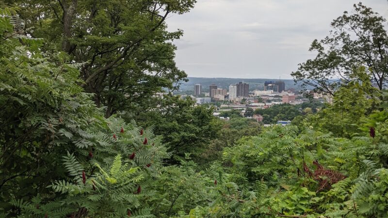 Lincoln Park - Syracuse, NY