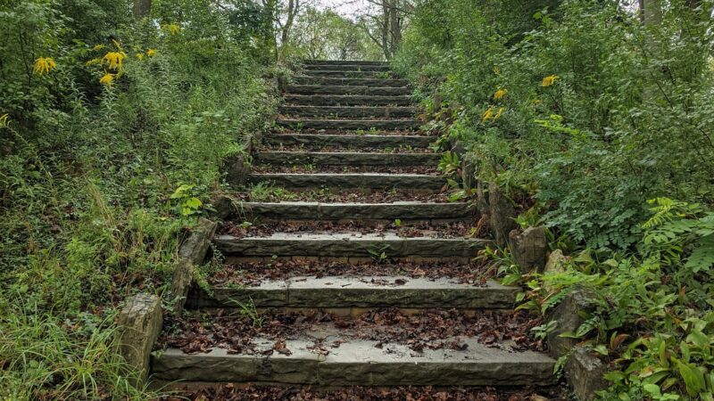 Lincoln Park - Syracuse, NY