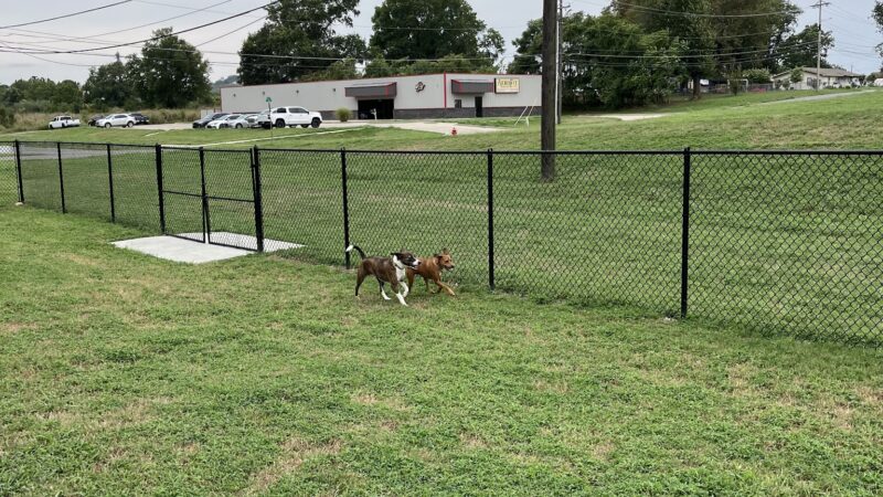 Tahlequah Tails Dog Park - Tahlequah, OK
