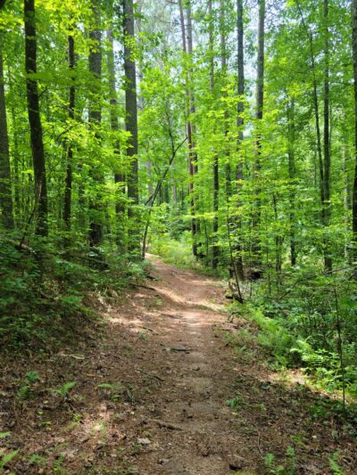 Talking Rock Nature Park - Talking Rock, GA