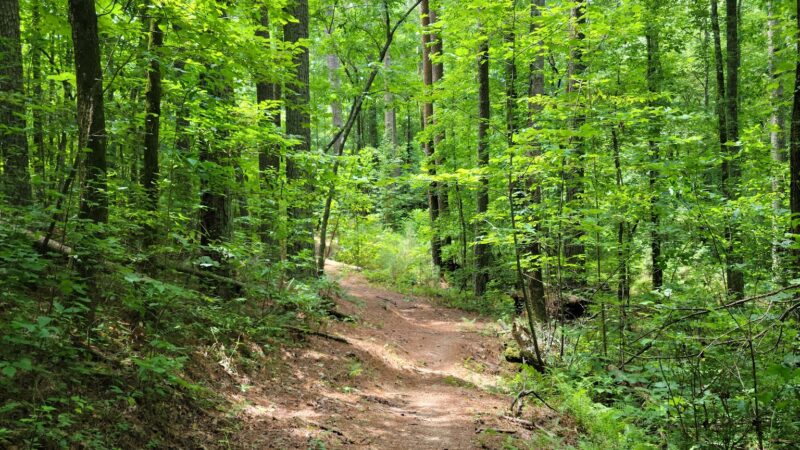 Talking Rock Nature Park - Talking Rock, GA
