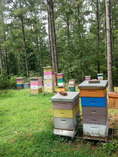 Talking Rock Nature Park - Talking Rock, GA