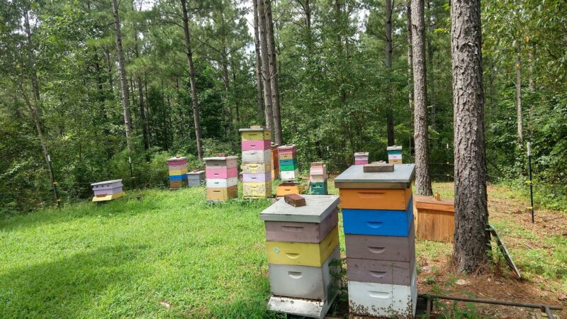 Talking Rock Nature Park - Talking Rock, GA