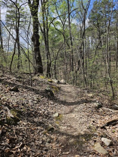 Talking Rock Nature Park - Talking Rock, GA