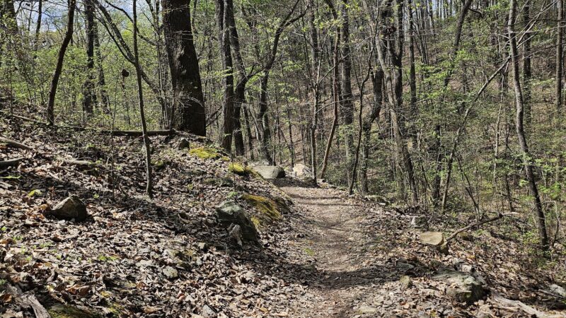 Talking Rock Nature Park - Talking Rock, GA
