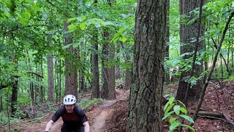 Talking Rock Nature Park - Talking Rock, GA