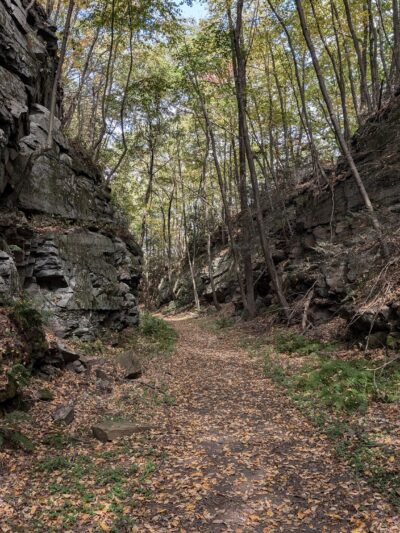 Big Pocono State Park - Tannersville, PA