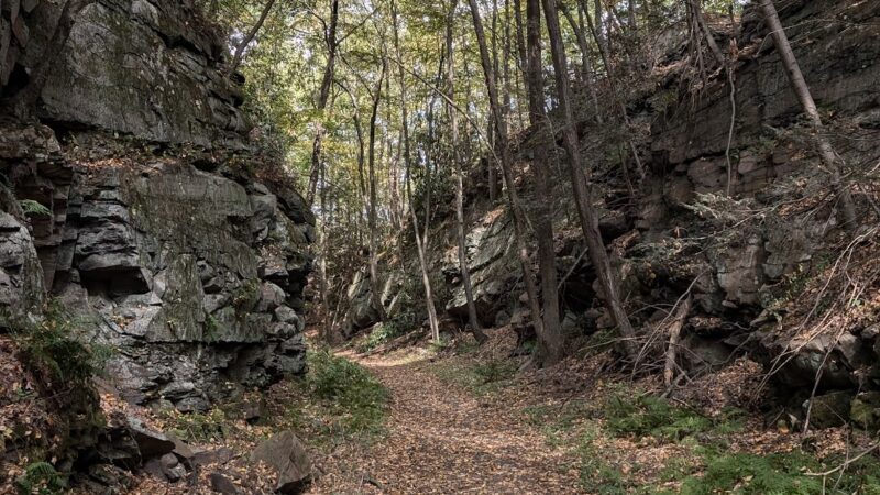 Big Pocono State Park - Tannersville, PA