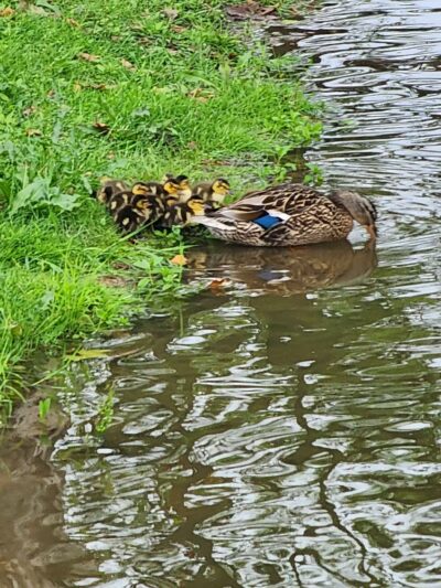 TLC Park - Tannersville, PA