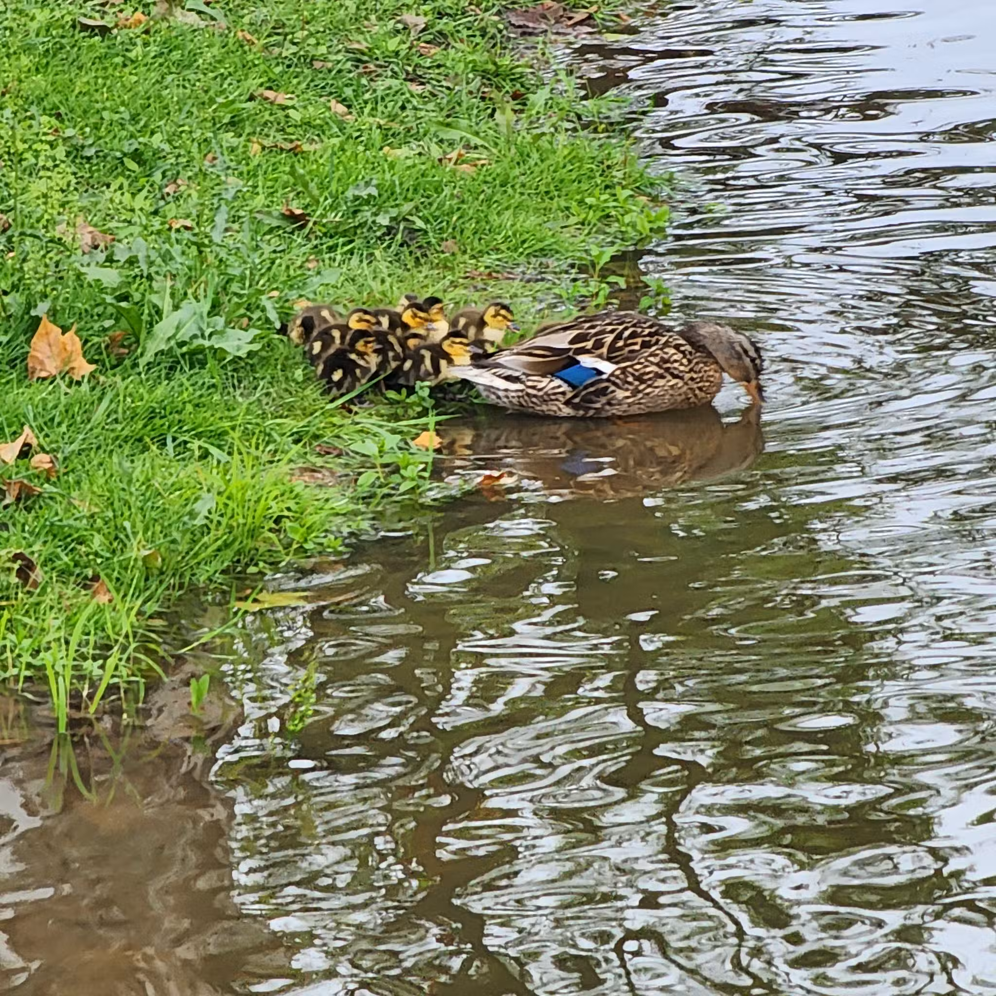 TLC Park - Tannersville, PA