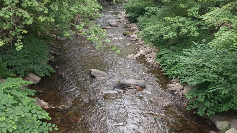 TLC Park - Tannersville, PA