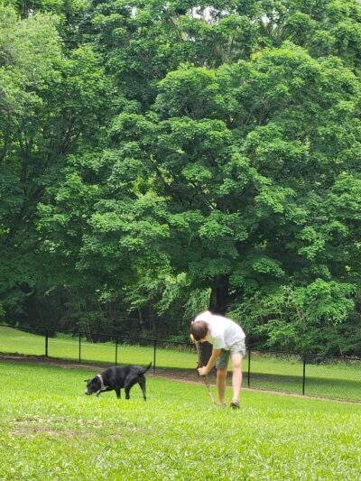 Tarboro Bark Park - Tarboro, NC