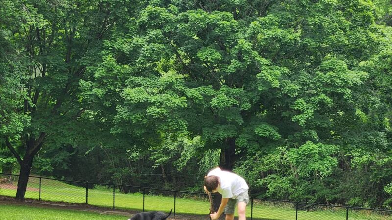 Tarboro Bark Park - Tarboro, NC