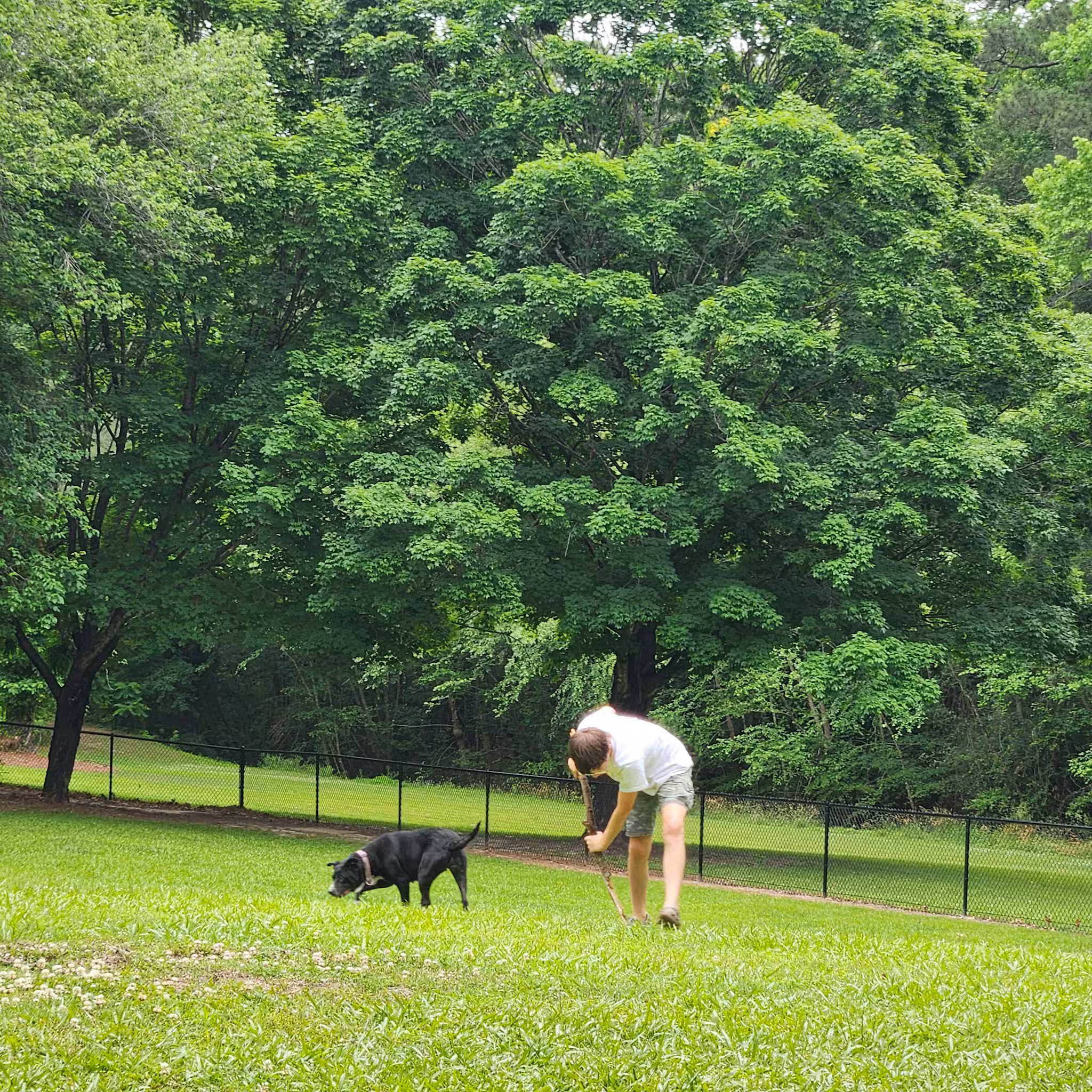 Tarboro Bark Park - Tarboro, NC