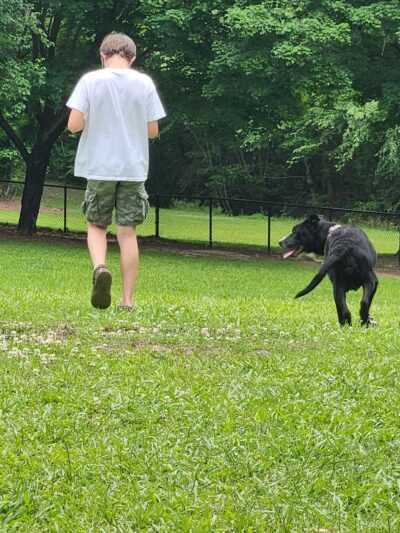 Tarboro Bark Park - Tarboro, NC