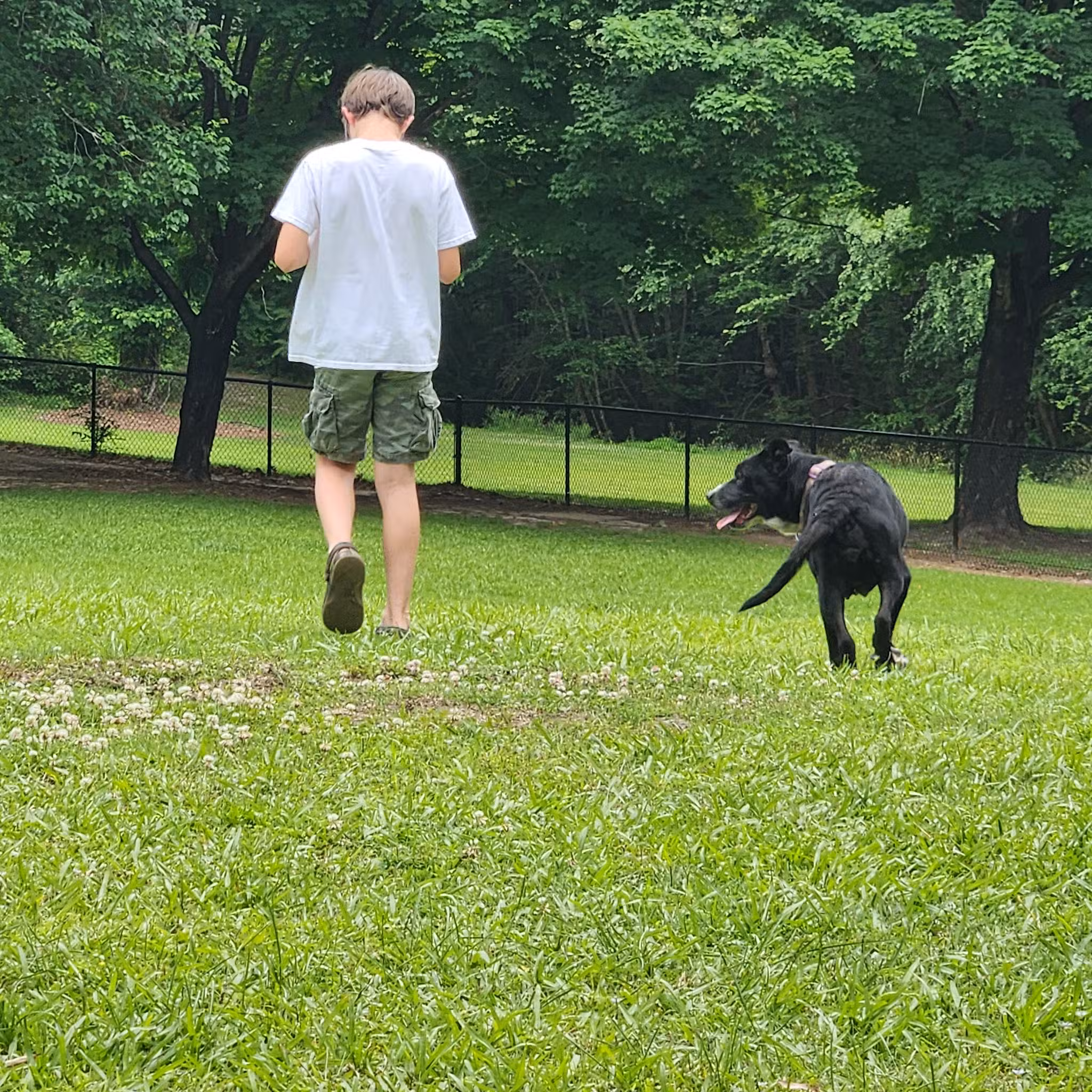 Tarboro Bark Park - Tarboro, NC