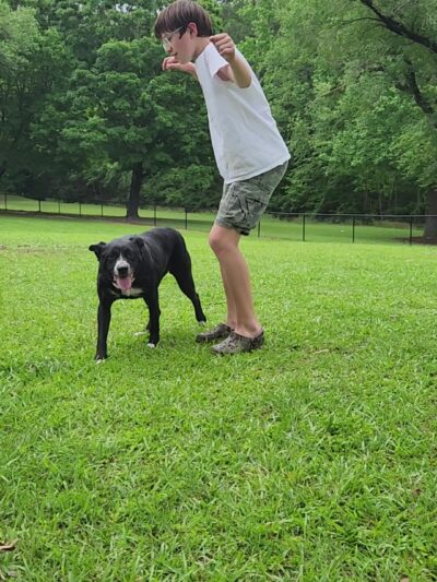 Tarboro Bark Park - Tarboro, NC