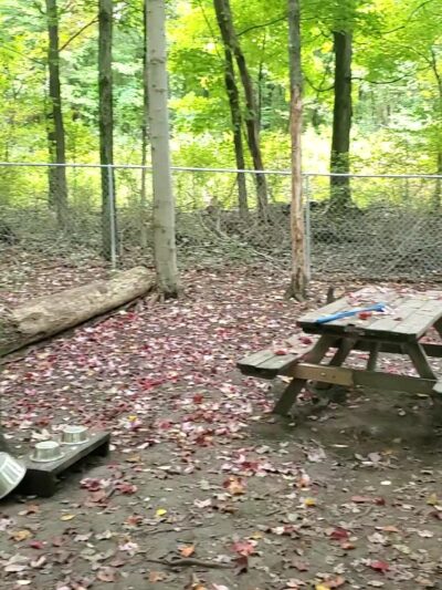 Daniel R. Tabacheck Memorial Dog Park - Tarentum, PA