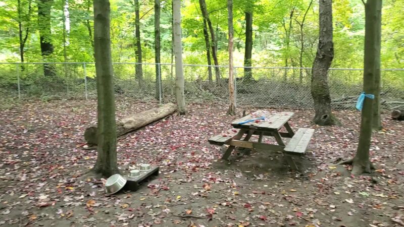 Daniel R. Tabacheck Memorial Dog Park - Tarentum, PA
