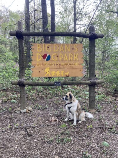 Daniel R. Tabacheck Memorial Dog Park - Tarentum, PA