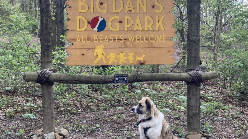Daniel R. Tabacheck Memorial Dog Park - Tarentum, PA