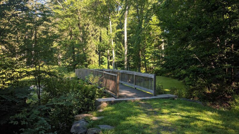 Glenville Woods Park Preserve - Tarrytown, NY