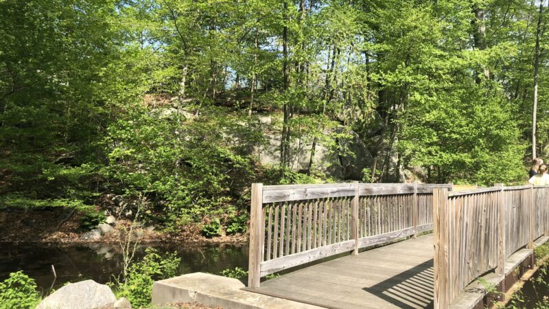 Glenville Woods Park Preserve - Tarrytown, NY
