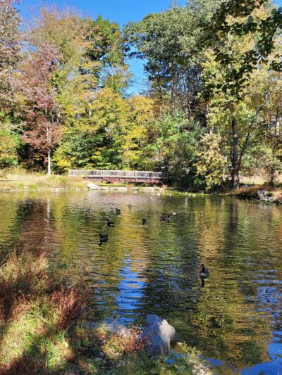 Glenville Woods Park Preserve - Tarrytown, NY