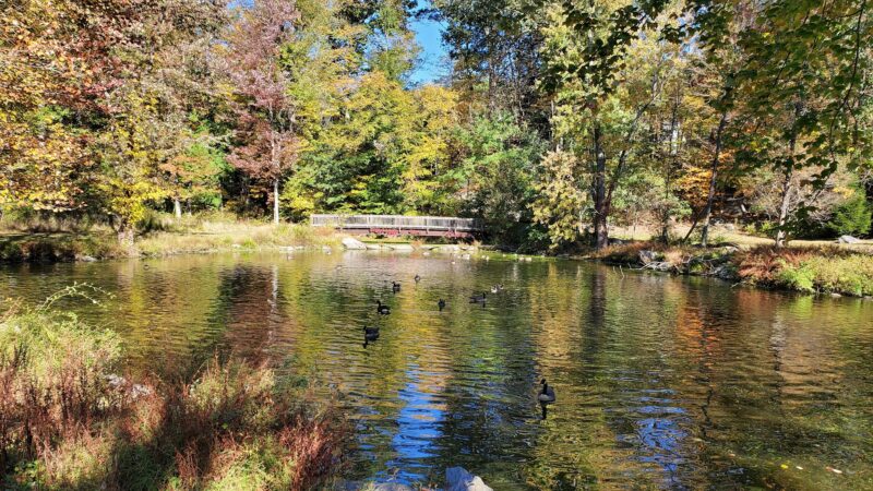 Glenville Woods Park Preserve - Tarrytown, NY