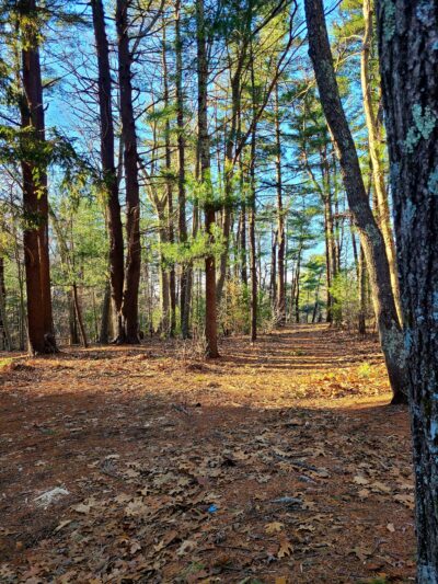 Friends of Boyden Refuge - Taunton, MA