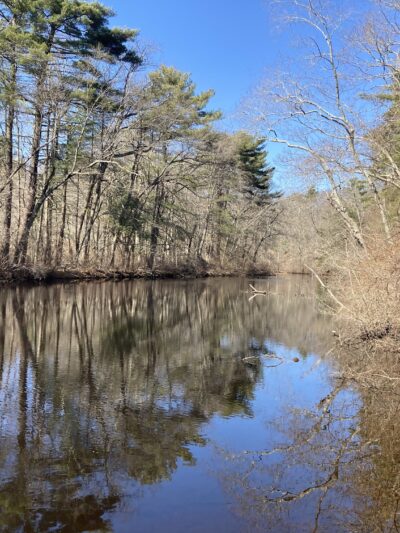 Friends of Boyden Refuge - Taunton, MA