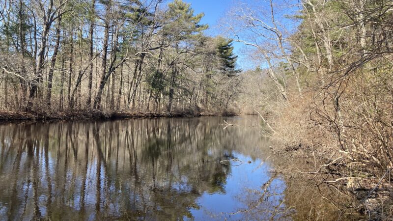 Friends of Boyden Refuge - Taunton, MA