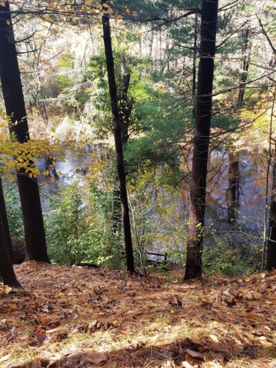 Friends of Boyden Refuge - Taunton, MA