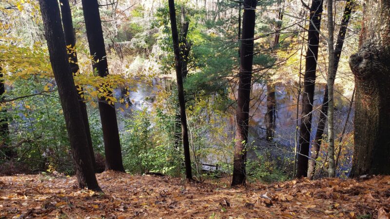 Friends of Boyden Refuge - Taunton, MA