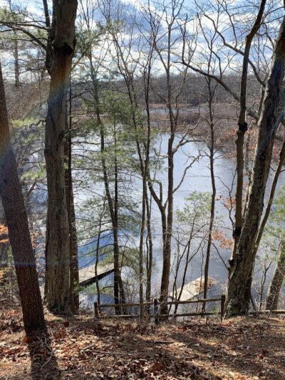 Friends of Boyden Refuge - Taunton, MA