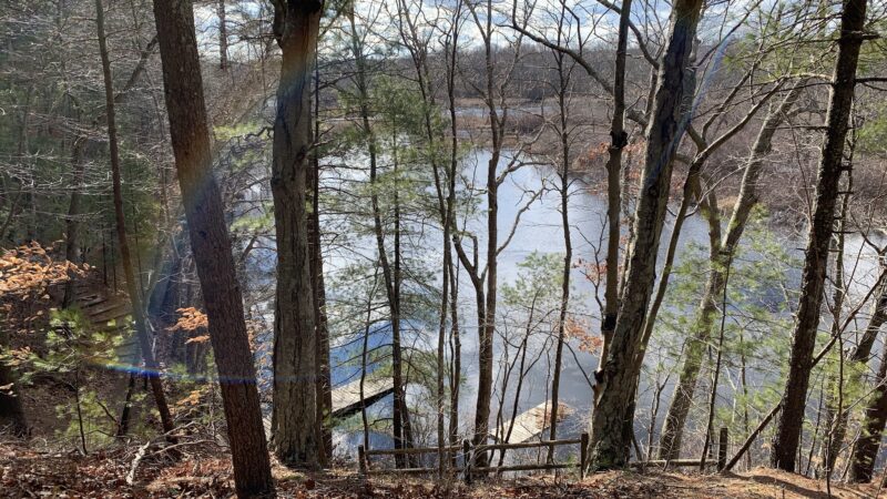 Friends of Boyden Refuge - Taunton, MA