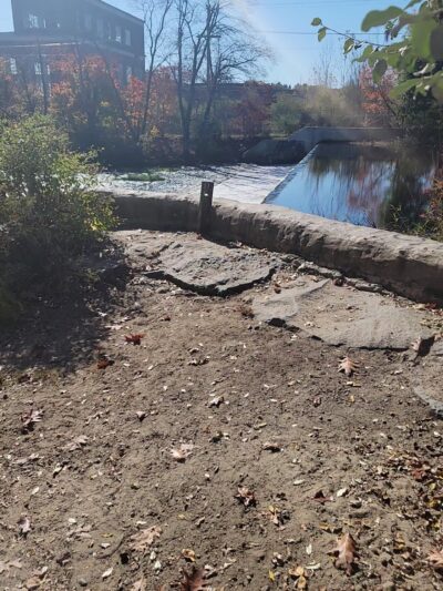 Friends of Boyden Refuge - Taunton, MA