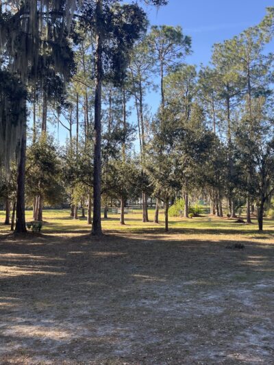 Aesops Park - Tavares, FL