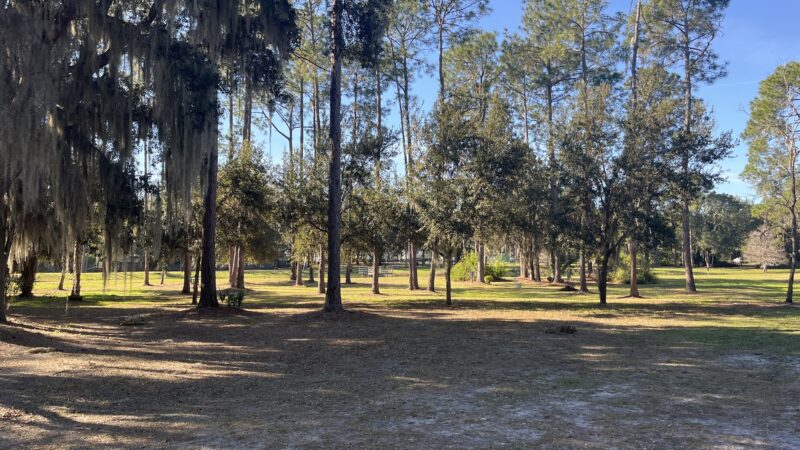 Aesops Park - Tavares, FL