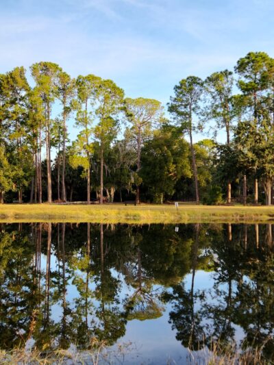 Aesops Park - Tavares, FL