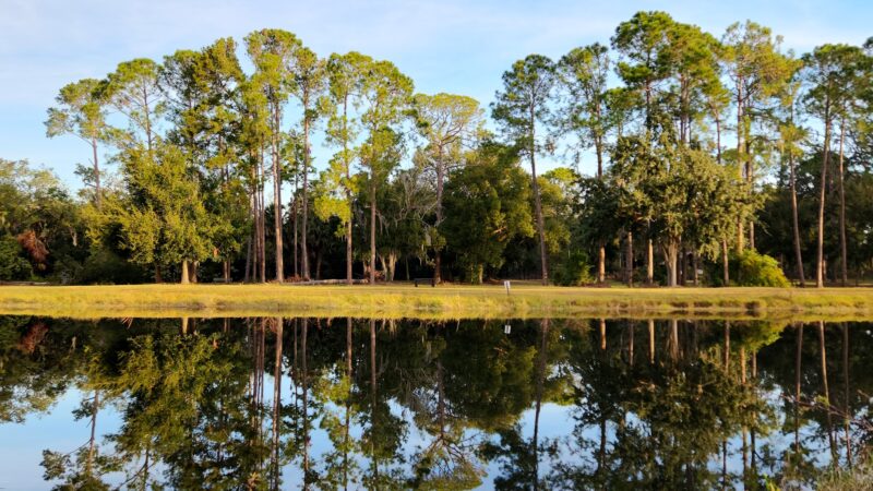 Aesops Park - Tavares, FL